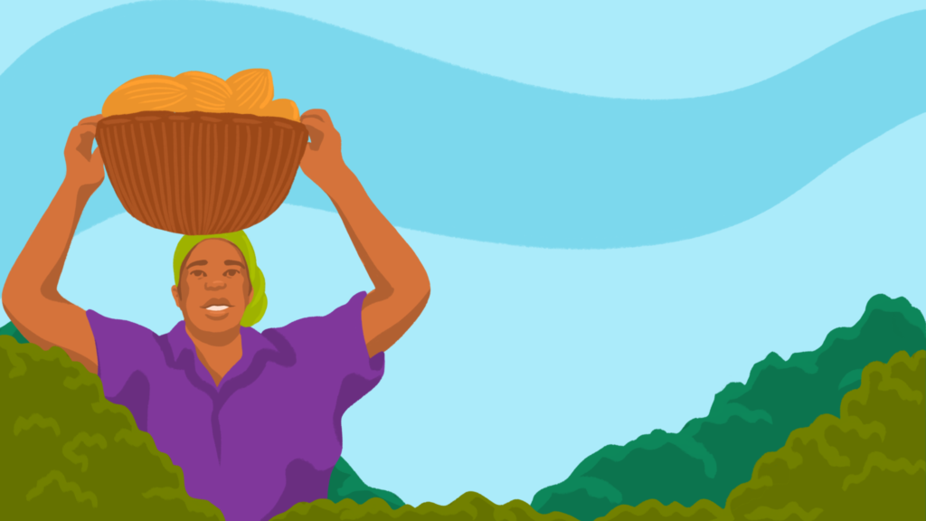 Colourful illustration of a farmer carrying a basket of cocoa pods