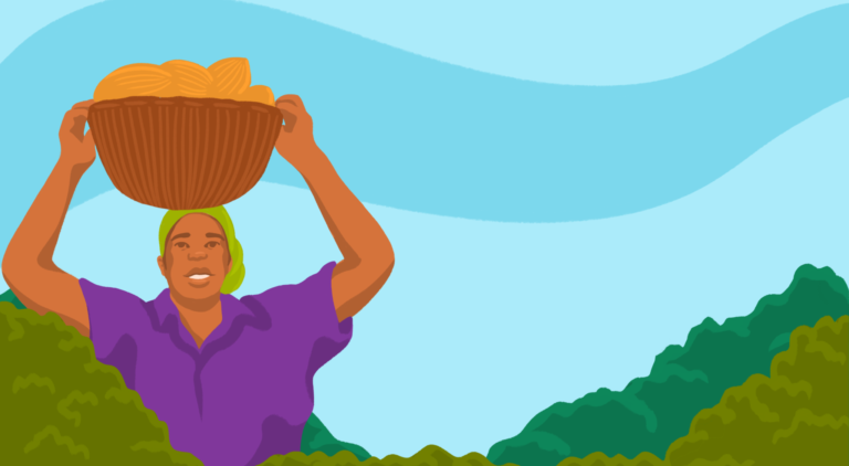 Colourful illustration of a farmer carrying a basket of cocoa pods
