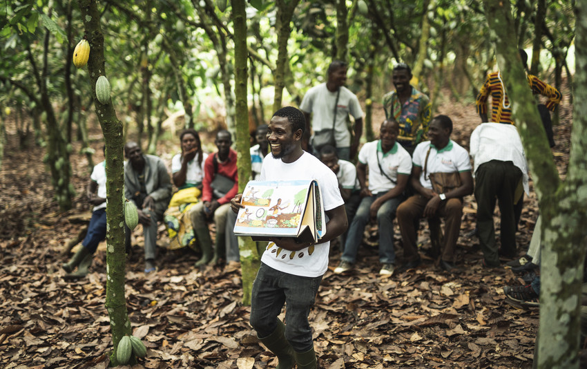 Cocoa farmers from the ECAKOOG cooperative in Ivory Coast - 2020