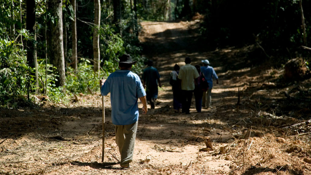 People from the Puerto Oro community in Bolivia, members of co-operataive Coinacapa enter the forest