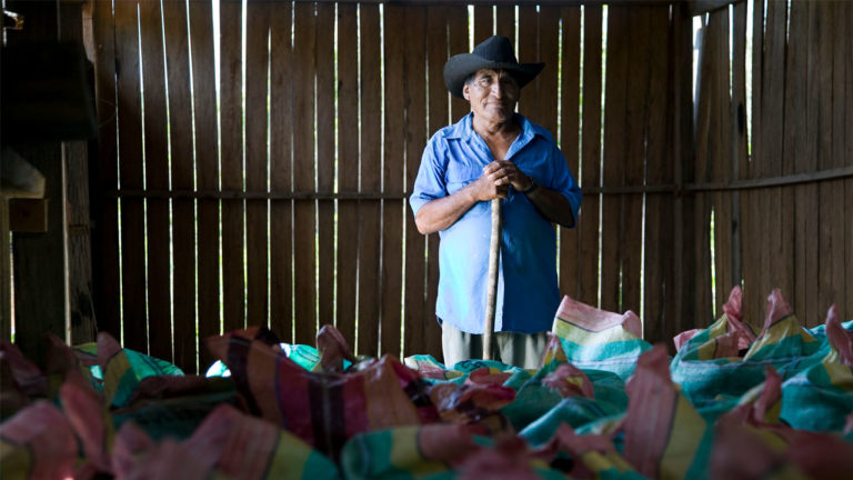 Feliciano Quispe Torres, Puerto Oro, COINACAPA, stands holding a cane in front of sacks of produce