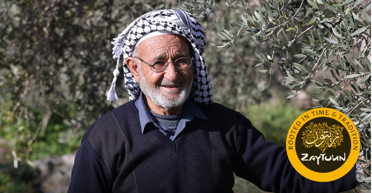 Olive Farmer Haj Rafeeq stands next to an olive tree