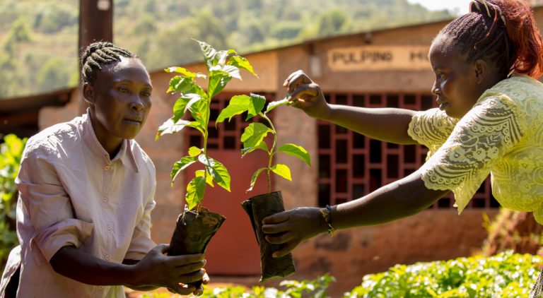 Two women working in a tree nursery, in Kenya