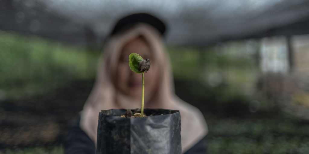 Raihan Firtriana and a coffee plant from her nursery in Indonesia