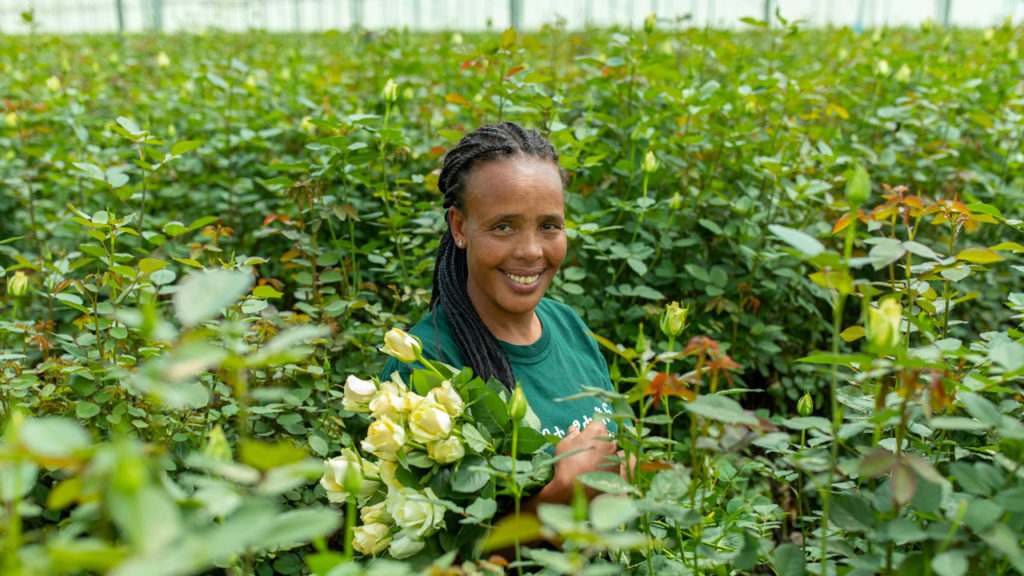Portrait of Beredu Site in flower farm