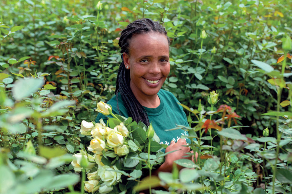 Portrait of Beredu Sitea among roses