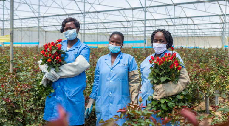 Portrait of Joan Injete Akumu and two other flower workers standing in a greenhouse at Bigot Flowers Ltd in Kenya. Two of the women are holding bunches of red roses