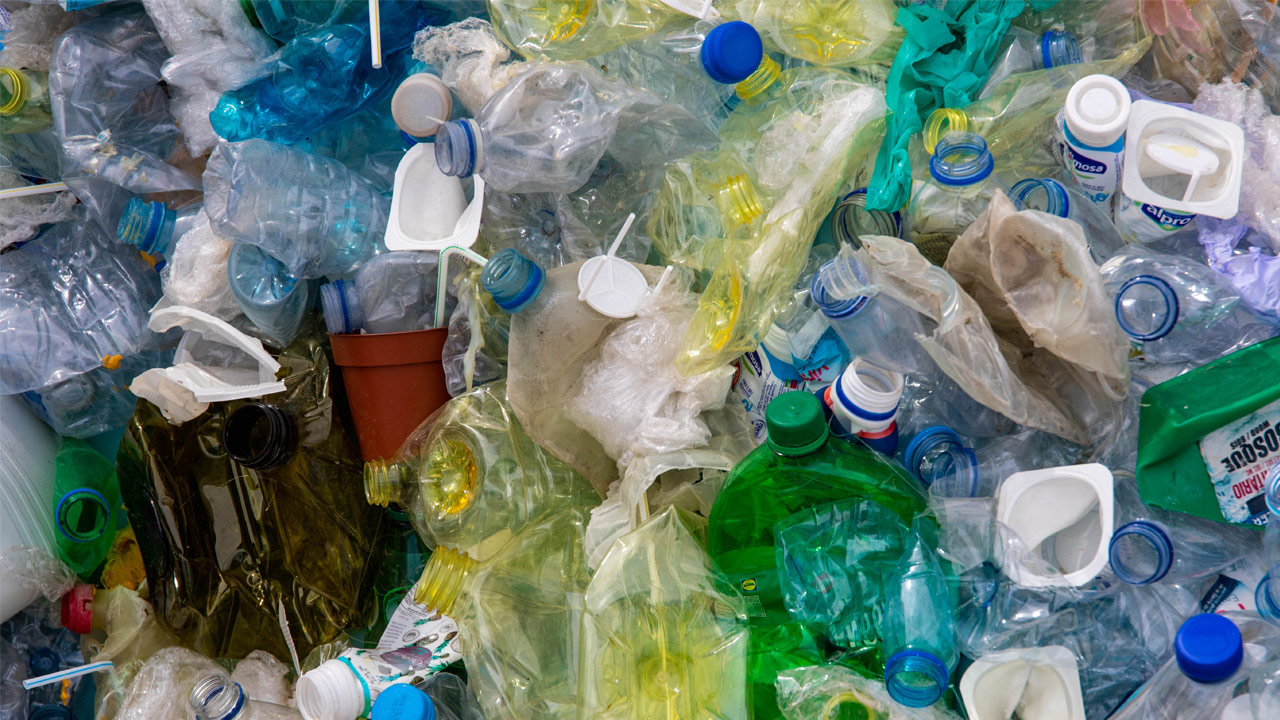 7 Disturbing Ways Plastic Bags Impact The Environment