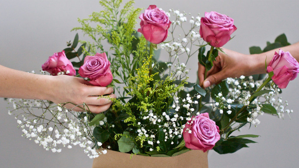 Bouquet of Fairtrade hybrid rose, gypsophila, cosmic solidago eucalyptus cinerea - two hands holding roses in the bouquet, and the bouquet is arranged in a paper bag