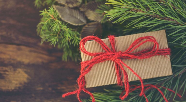 aesthetic image of a present wrapped in brown paper and red string among fir leaves