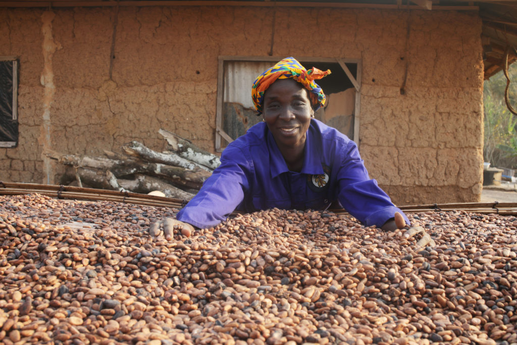Yaa Asantewaa, cocoa farmer, President of the Sekyerekrom cooperative cocoa farmers society and women’s organiser for the Asunafo North Municipal Cooperative Cocoa Farmers and Marketing Union