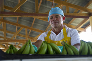Ramón Vargas, banana farmer working in the Asociación de Productores de Banano: Las Mercedes banana co-operative in the Dominican Republic