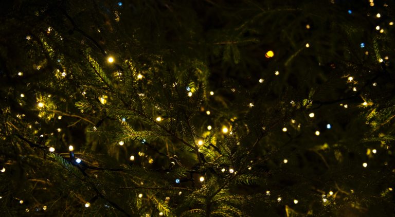 Fairy lights in Christmas tree