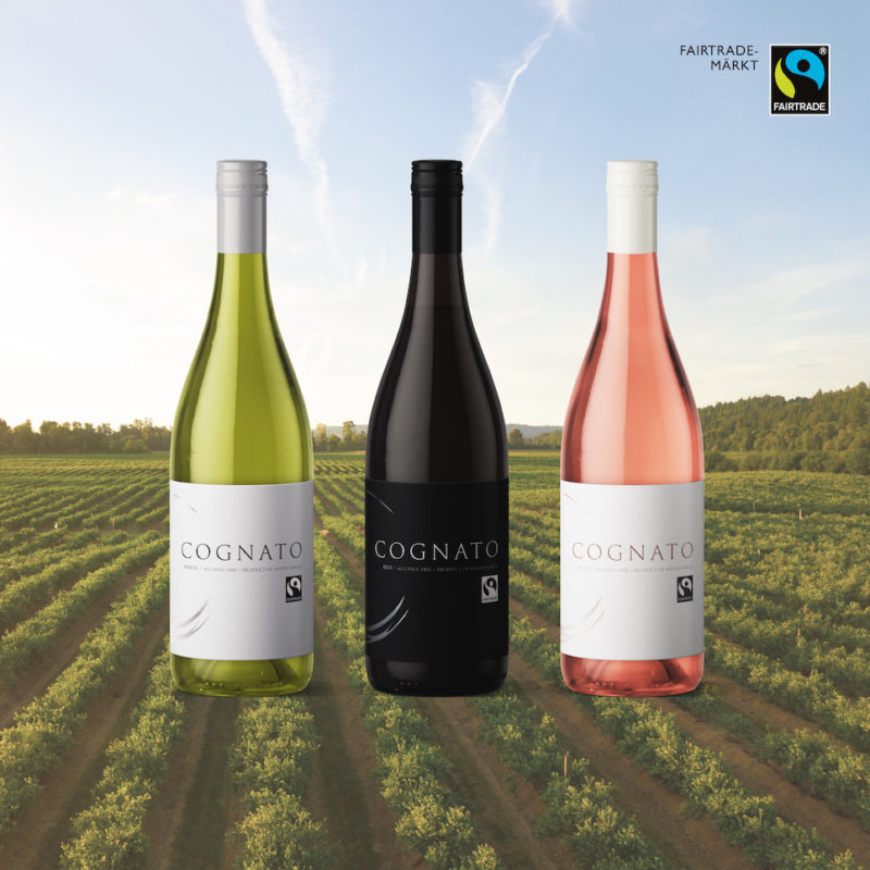 Three bottles of Cognato white, red and rose non-alcoholic Fairtrade wine against the backdrop of the Cognato winery