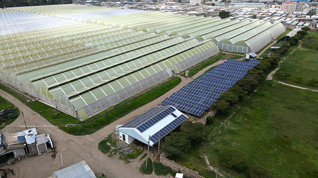 The solar plant at Wildfire Flowers. Image Fairtrade Africa.