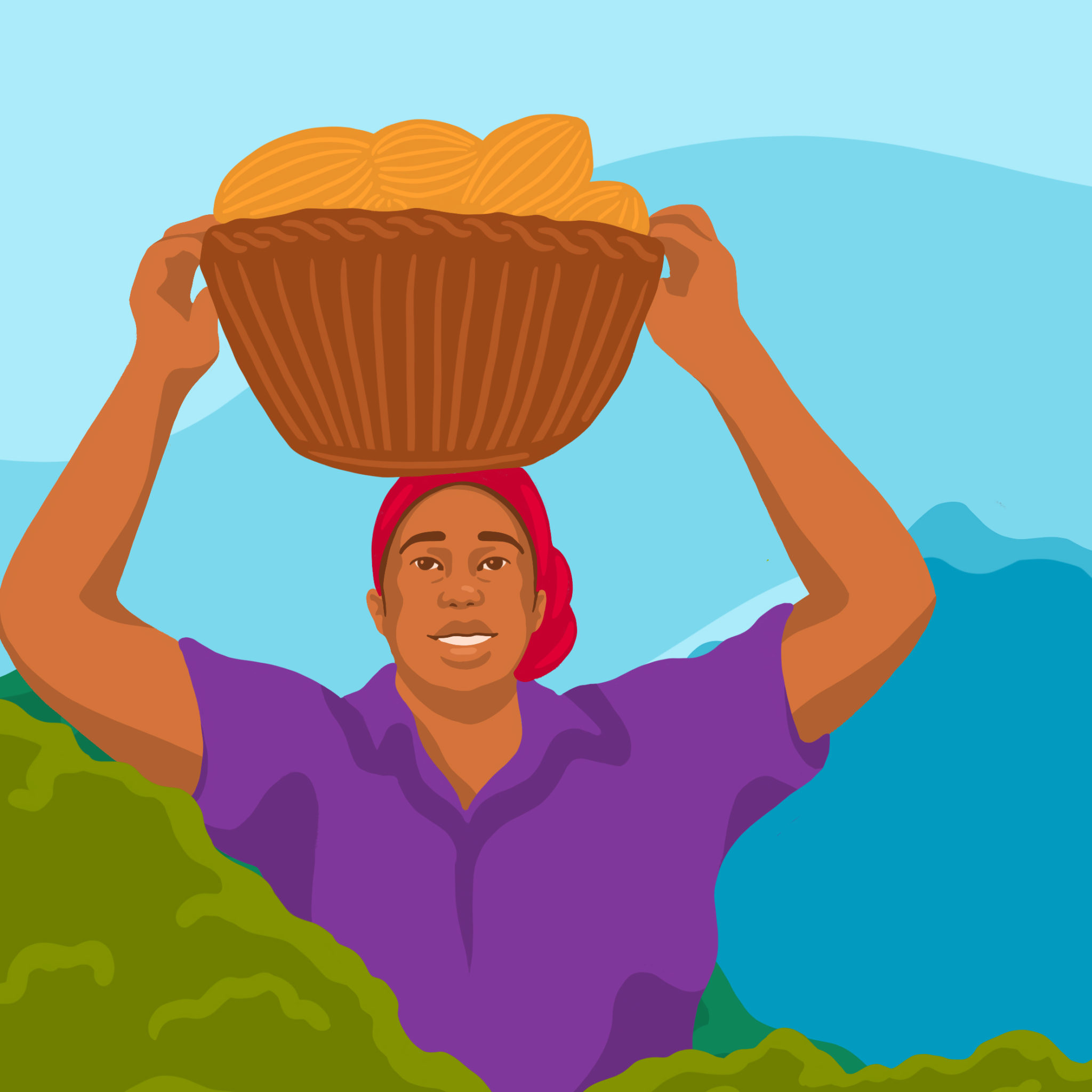 illusration of farmer carrying a basket of cocoa pods