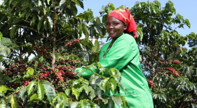 Fairtrade coffee masterclass with Co-op