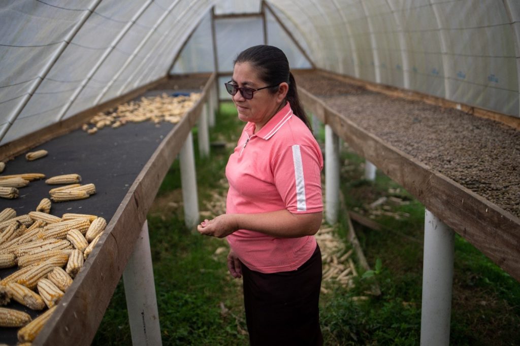 Dilma Chávez standing in front of a small amount of harvested corn