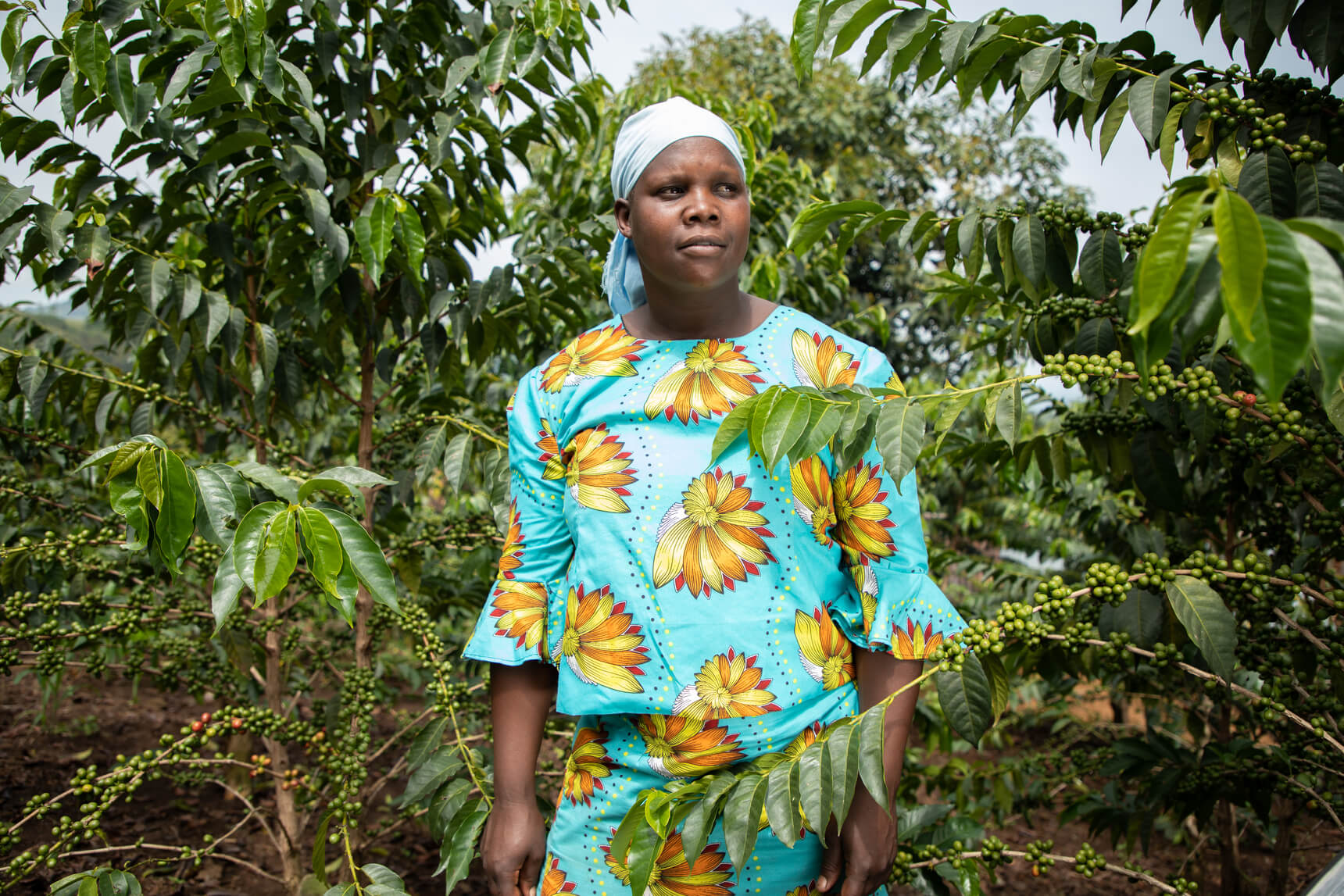 You are currently viewing Countdown begins to Fairtrade Fortnight 2023