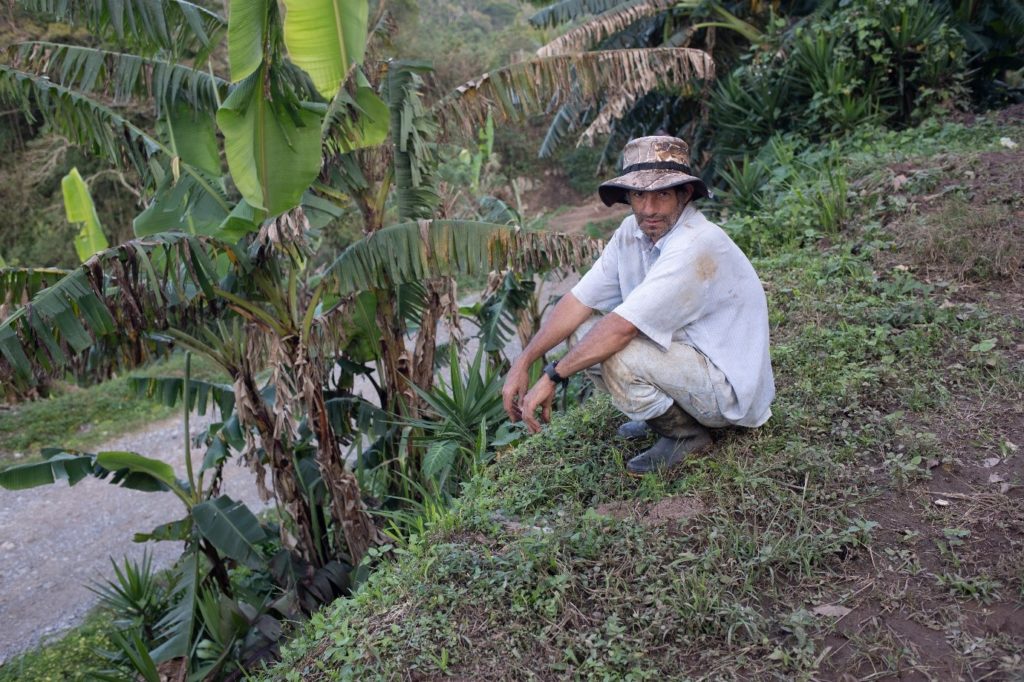 Prudencio Fernández crouching in front of damaged crops