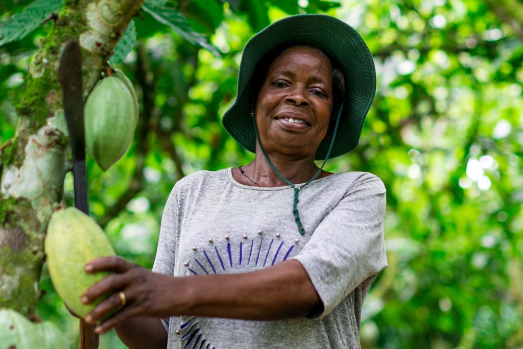 A cocoa producer in Ghana, part of the cocoa impact study. Credit: Fairtrade Africa