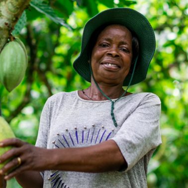 A cocoa producer in Ghana, part of the cocoa impact study. Credit: Fairtrade Africa