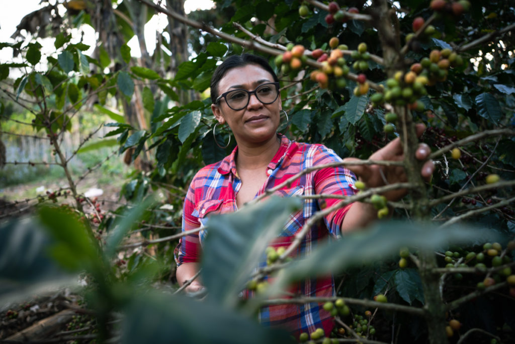 Fairtrade coffee farmer Esperanza Suazo Saenz