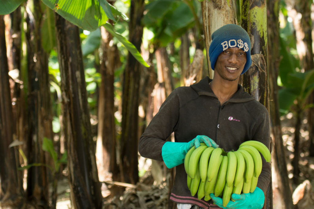 Fairtrade banana farmer in Dominican Republic
