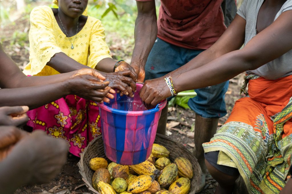 Cocoa farmers