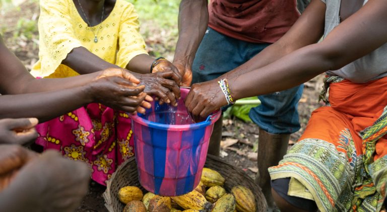 Cocoa farmers