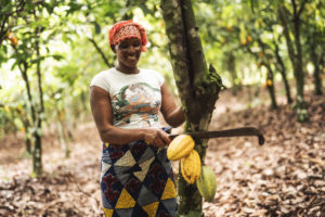 Cocoa farmer on the Cote d'Ivoire