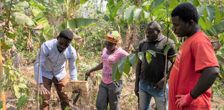Bismark Kpabitey | Sankofa Project. Bismark Kpabitey (left), 36, a cocoa farmer, offers training on irrigation to Emelia Debrah, 51, a cocoa farmer, John Kwabena Narh, 45, a cocoa farmer and Nicholas Amponsah, 30, a cocoa purchasing clerk, on Bismark's farm in Alavanyo, Ahafo Region of Ghana, on January 25, 2022...Bismark is under the Sankofa Project, a Fairtrade’s climate project helping farmers to adapt and mitigate against the effects of climate change. The project is supported by the Coop Sustainability Fund and Chocolats Halba, the Swiss Platform for Sustainable Cocoa (SWISSCO) and the State Secretariat for Economic Affairs (SECO), the Danish International Development Agency (DANIDA), the International Trade Centre (ITC) and Max Havelaar Foundation Switzerland. It is implemented by ITC together with the Kuapa Kokoo Cooperative Cocoa Farmers and Marketing Union Limited (KKFU) and partners including the Government of Ghana, Fairtrade Africa, WWF Switzerland and the Yam Development Council. Technical support to the project is provided by Ecotop Suisse GmbH, South Pole and the Nature and Development Foundation (NDF).