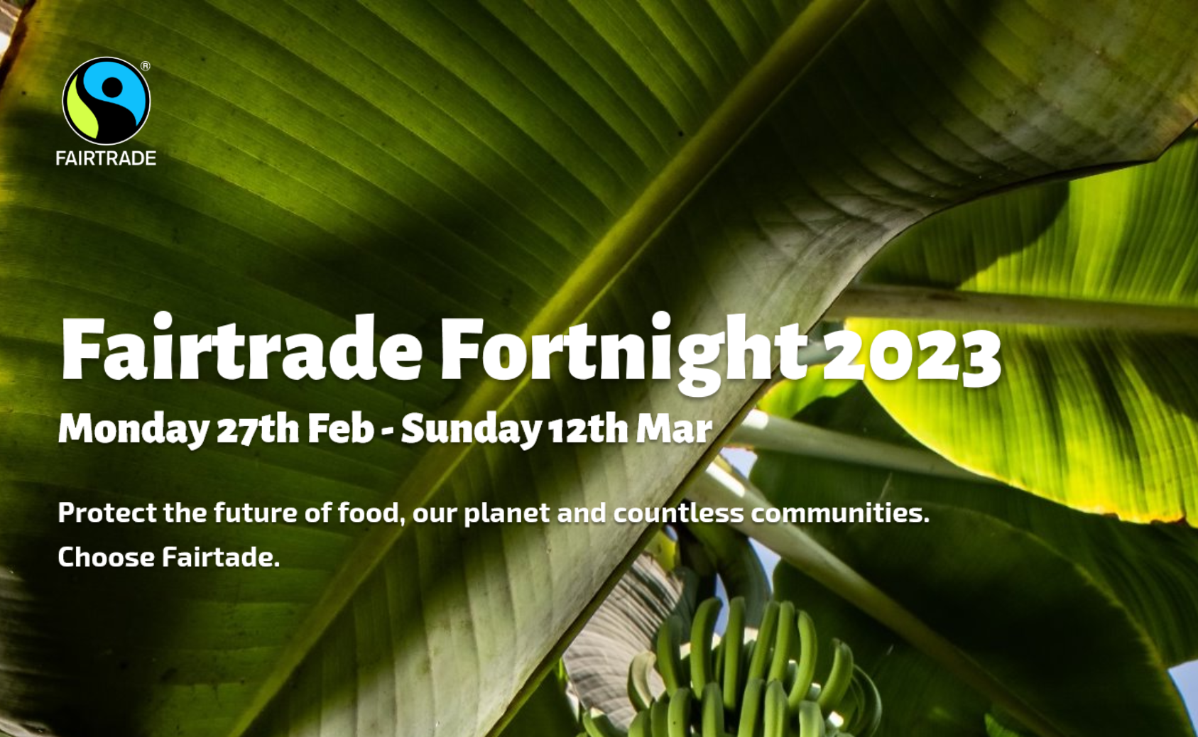 You are currently viewing Fairtrade Fortnight presentation and script