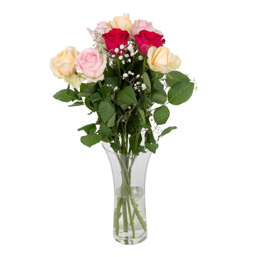 A bouquet of Fairtrade red, pink and white roses along with decorative stems of gypsophilia in a glass vase.
