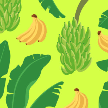 Fairtrade Anniversary image
