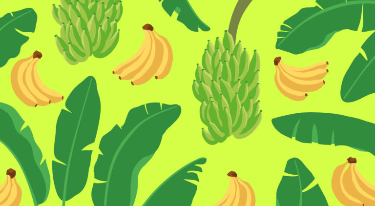 Fairtrade Anniversary image