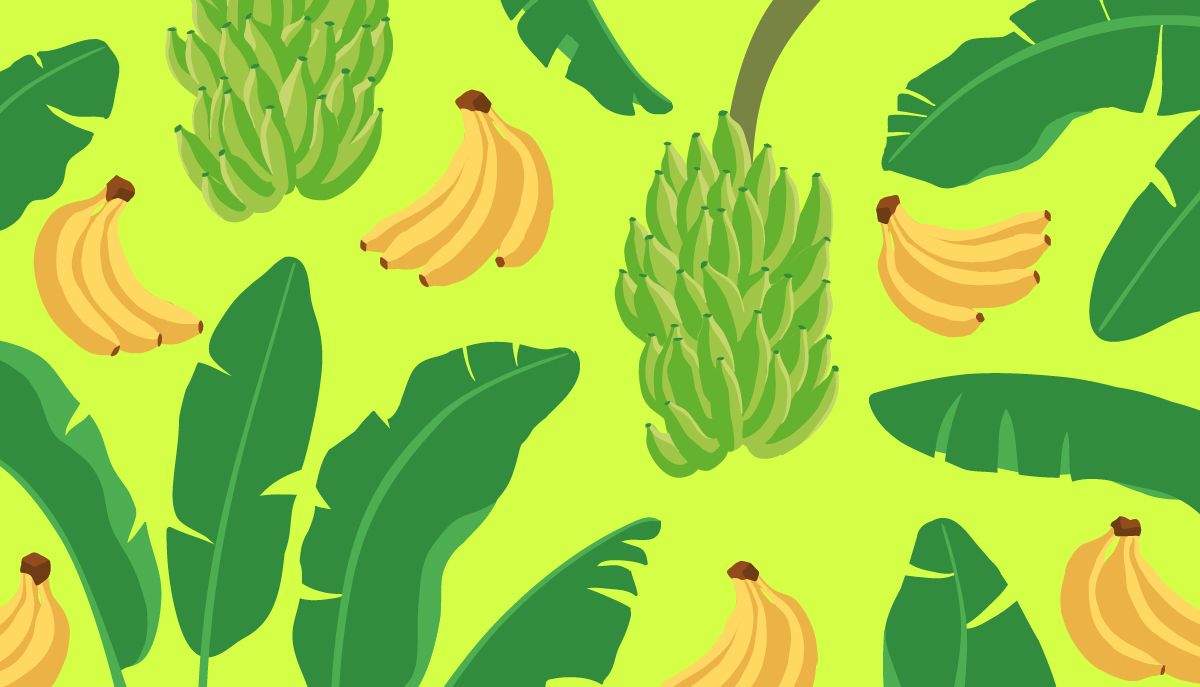 You are currently viewing 30 ways to celebrate 30 years of Fairtrade