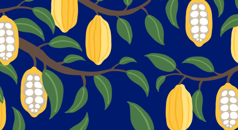 Fairtrade Fortnight fruit image