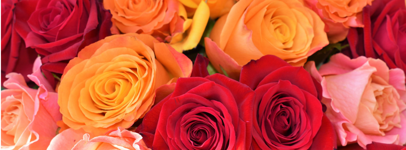 Fairtrade roses and flowers
