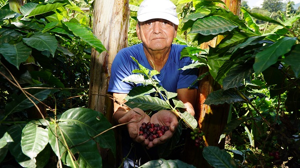 You are currently viewing Meet some of the farmers behind your Fairtrade cup of coffee