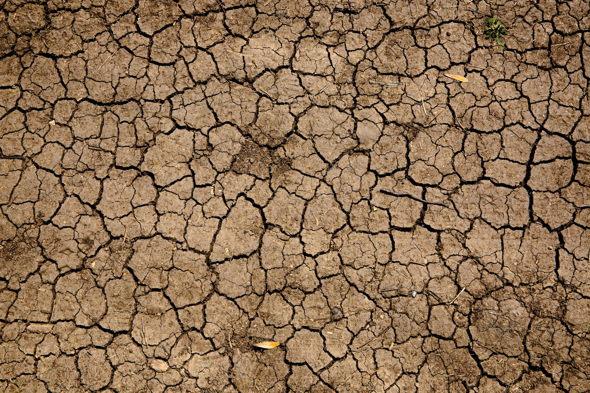 You are currently viewing Fair Trade Movement calls for urgent rethink on climate action