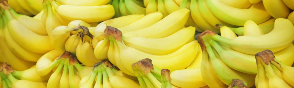banana journey fairtrade