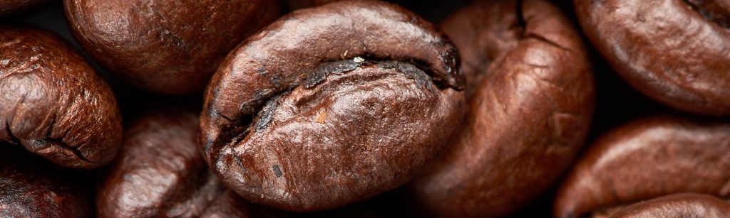 close up of Robusta coffee beans